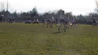 Alex Fellows 2013 Lacrosse