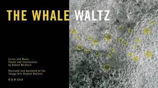 The Whale Waltz &ndash; Hubert Neidhart