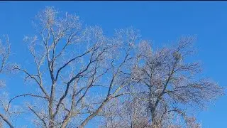 The soft breath of Spring