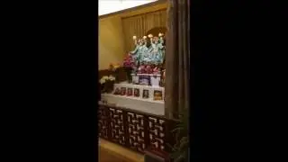 Sri Gaura Aarati - ISKCON Beijing (April 20-21, 2016)