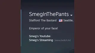 Steam Profile Song
