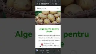 unde gasesc alge marine in Constanta? www.algemarine.ro