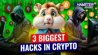 Три взлома в криптоиндустрии: Ronin Network, Poly Network, FTX | Hamster Kombat: Hamster Academy 🚨