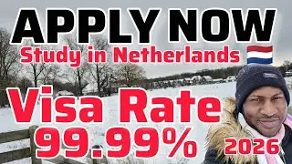 Подайте заявку сейчас/Процент одобрения Visa составляет 99,99%/4 обновления