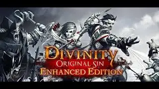 Tengo un rato antes de irme | #13 | Divinity Original Sin