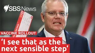 Vaccinated Australians could be allowed to travel without quarantine | SBS News