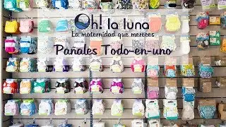 Pa&ntilde;ales Todo en uno