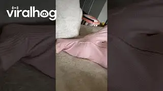 Girl Falls Asleep in Unusual Position || ViralHog
