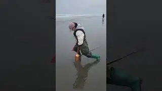 Razor Clam Digging / Twin Harbors 1/1/2026