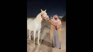 ٢٥ يناير ٢٠٢٦