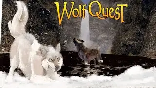 По следам АГРЕССИВНЫХ волков🐺❄️Wolf Quest: The Saga Begins #12 (Snowberry Pack)