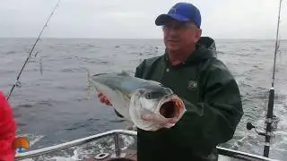 GRAN PESCA DE LIMONES BAJO LA LLUVIA