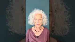 THE CONNECTED BODY 2
