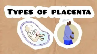 Placenta Classification | Shape, Layers & Origin l Easy Biology Guide #biology #placenta 