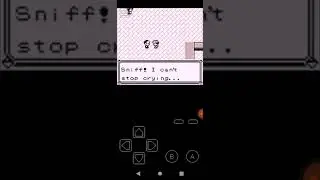 Pokemon red version corrupted blue glitch?