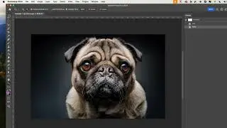 0903 Intro to Photoshop for Web Design Class