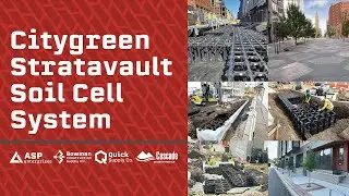 Soil Cell Systems for Urban Tree Development | Many Benefits of Healthy Trees in Cities