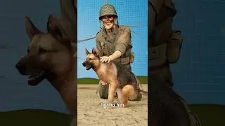 This Dog&rsquo;s Life Changed in Seconds 🐕