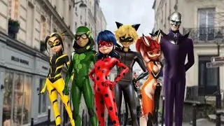 Miraculous Ladybug Heroes: Group Transformation 🐞🐈&zwj;⬛🦊🐢🐝🦋