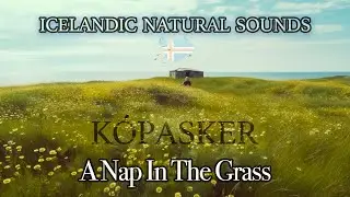 🇮🇸K&Oacute;PASKER - Yfirgefi&eth; Fj&aacute;rh&uacute;s | The relaxing sound of a nap in the grass enveloped by nature #asmr