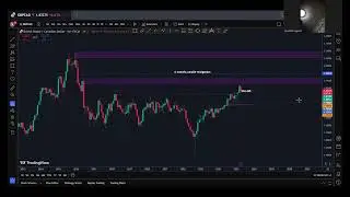 Weekly Market Insight