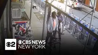 Woman using walker struck by stray bullet, killed in Harlem