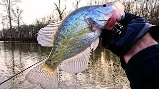 Cold Water Crappie Fishing❗ Tips & Tricks
