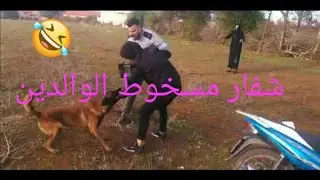 فيلم قصير شفار من زهرو طلاقا مع رجل بكلبو ندم على النهار لي شفر فيه
