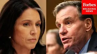 Mark Warner Asks NSA Nom About Election Security After DNI Gabbard Joins FBI Raid On Election Office