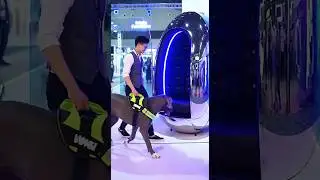Dubai's FUTURE AI PET MASSAGE Machine is UNREALISTIC😲🤖Robot Grooming Machine 3.0✂️Live!