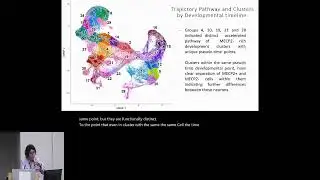 Deep analysis of regulatory networks based on single cell... - Sofia Rodriguez - SCS - ISMB 2024