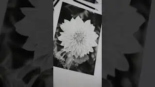 OMG Amazing Drawing Shiksha Art Easy Art Tutorial Steps by Step For Beginners 🔥😲😱😲#Shorts#🔥😱🔥