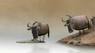 How to scale your small business online -Freelance Consultants: animated bull video -SkilQuo
