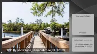 TBD Ryland Circle, Steinhatchee, FL 32359