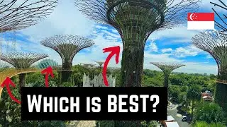Which Is the Best? Cloud Forest vs Skyway vs Super Tree
