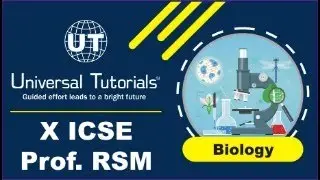 VSH26 - X ICSE BIOLOGY RSM 26/05/2025 - CH 07 Chemical Coordination in Plants