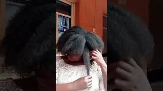 Beautiful natural hair #haircare #naturalhair #hairgrowth #shrinkage
