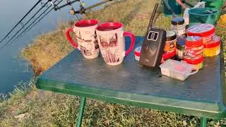 Pescuit staționar pe Balta Mare Cojesti /26,27.08.2024