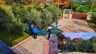 Picking Olives to Make Olive Oil in Albania 🇦🇱 with Family! 8h+ of footage in 1,35min 10,000%
