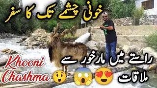 khooni chashmey tk ka sfr | markhoor view point| daily vlogging | vlog | Akhon's Vlog Corner