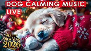LIVE Dog Sleep Music for Relaxation &mdash; Calm Nervous Dogs & Puppies Instantly
