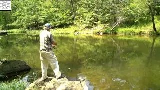 This Is A Roanoke Bass Day