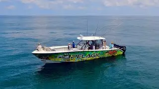 Voodoo Fishing Charters Deep Sea Fishing