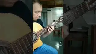 La villerita (Horacio Guarani)