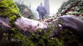 Sintra Guided Hiking Trail