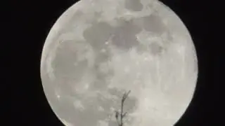 00270 February 1 moon year 2026