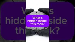 I Cracked Open This Ordinary Rock & Couldn't Believe What Was Inside! 💎✨