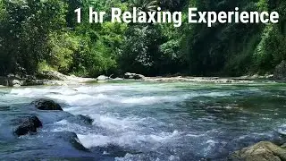 Relaxing River Sounds - 1 Hour Nature Noise for Sleep, Meditation & Stress Relief
