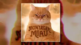 MONTAGEM MIAU (Ultra Slowed + Reverb) [1 Hour Loop]