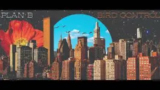 Bird Control - CRACKS (Official Audio)